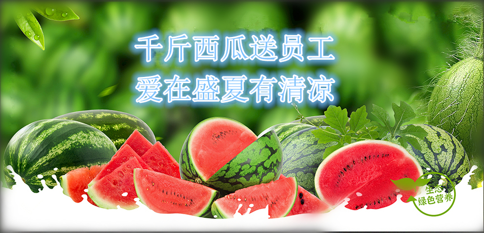 通達軟件公司： 千斤西瓜送員工，愛在盛夏有清涼